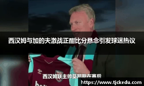 西汉姆与加的夫激战正酣比分悬念引发球迷热议